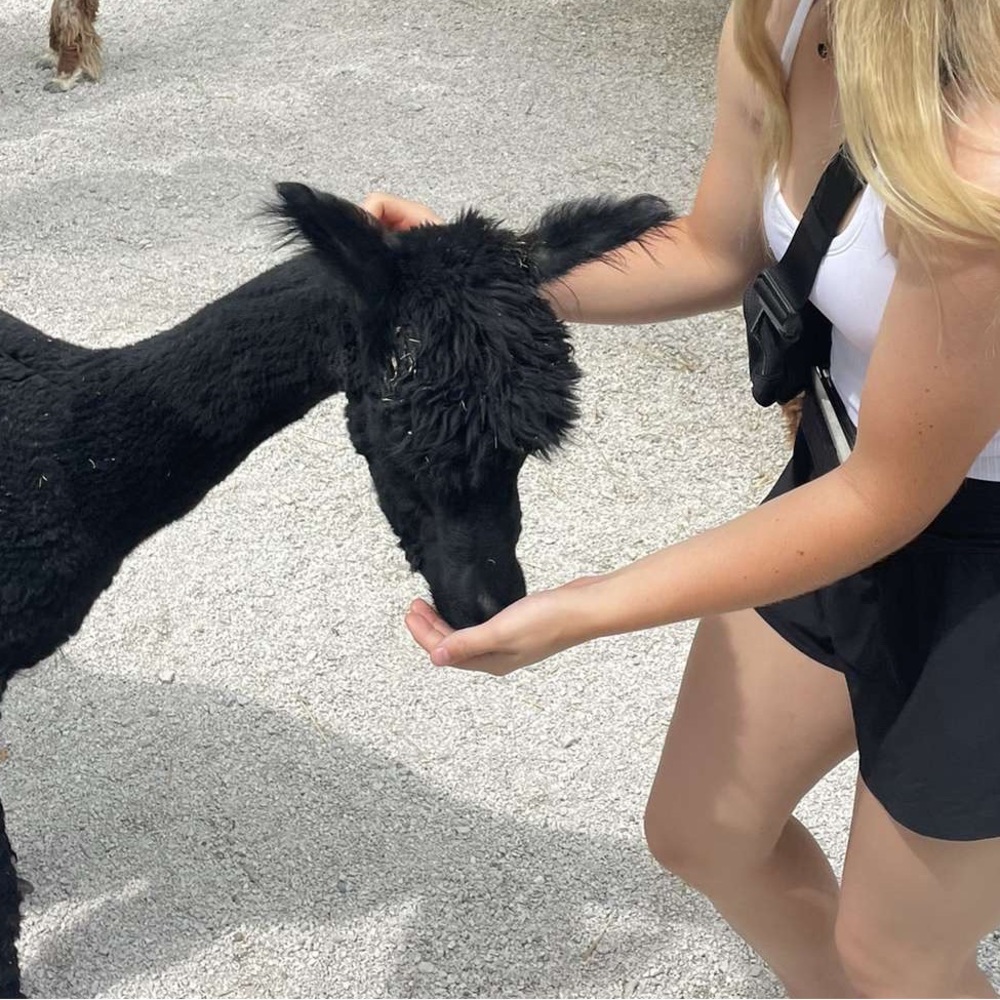 Meet your Posher, Avery